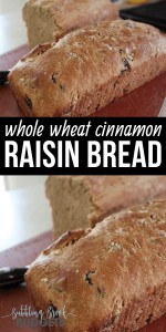 Whole Wheat Cinnamon Raisin Walnut Bread