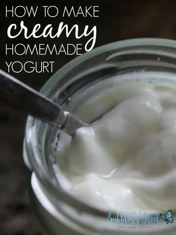 How to make creamy homemade yogurt
