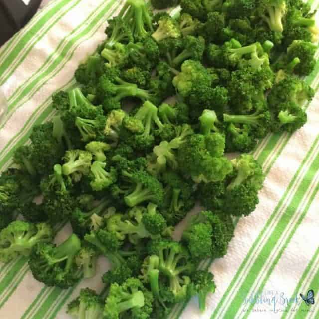 Freezing Broccoli - drying it out