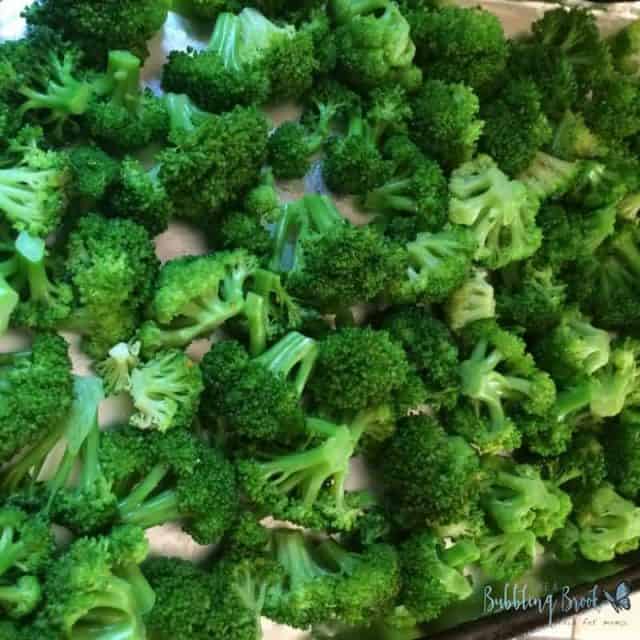 Freezing Broccoli - on cookie sheet
