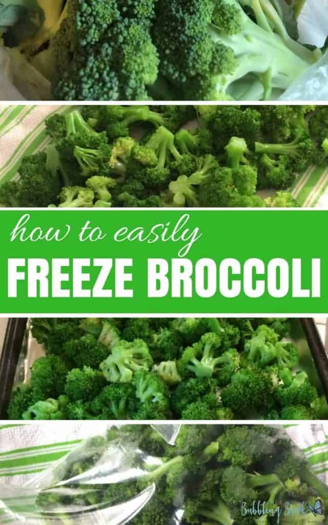How to Easily Freeze Broccoli --- or, the day freezing broccoli scared me to death :)