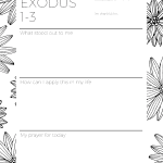 The EXODUS Bible Study Companion (Printable Journal) - Bubbling Brook