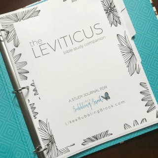 The LEVITICUS Bible Study Companion (Printable) - Bubbling Brook