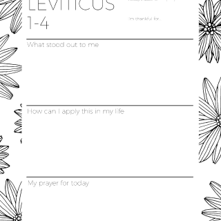 The LEVITICUS Bible Study Companion (Printable) - Bubbling Brook