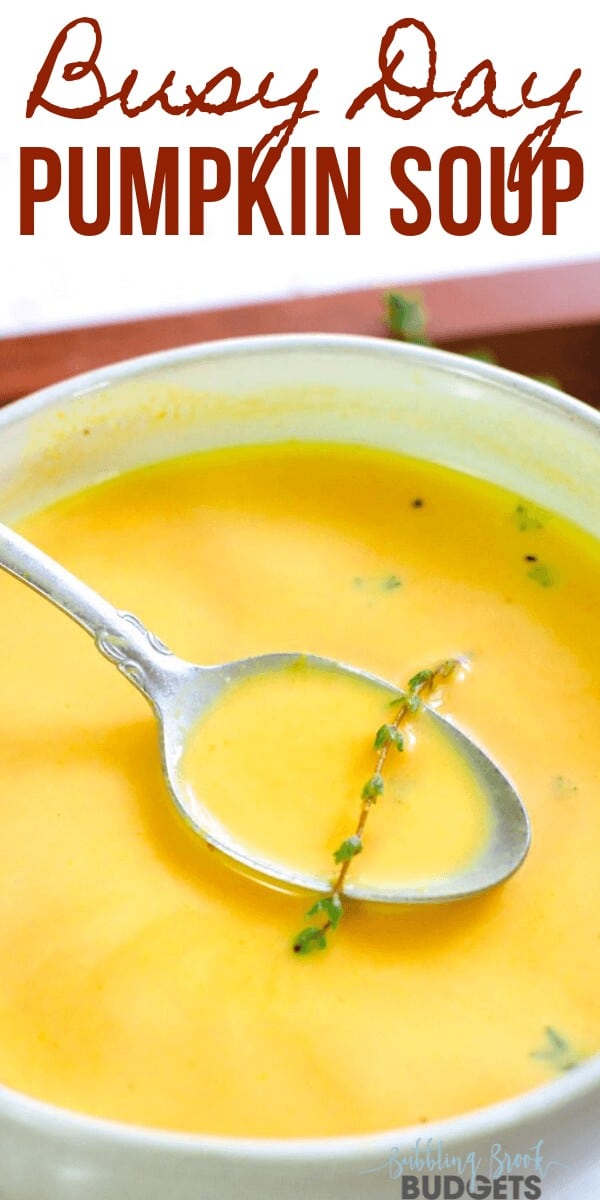 Chicken Pumpkin Soup in a bowl - Pinterest Pin