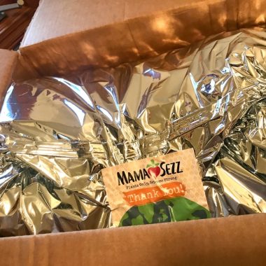 MamaSezz Review - opening shipping package
