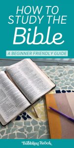 How to Study the Bible for Beginners [Ultimate Guide]