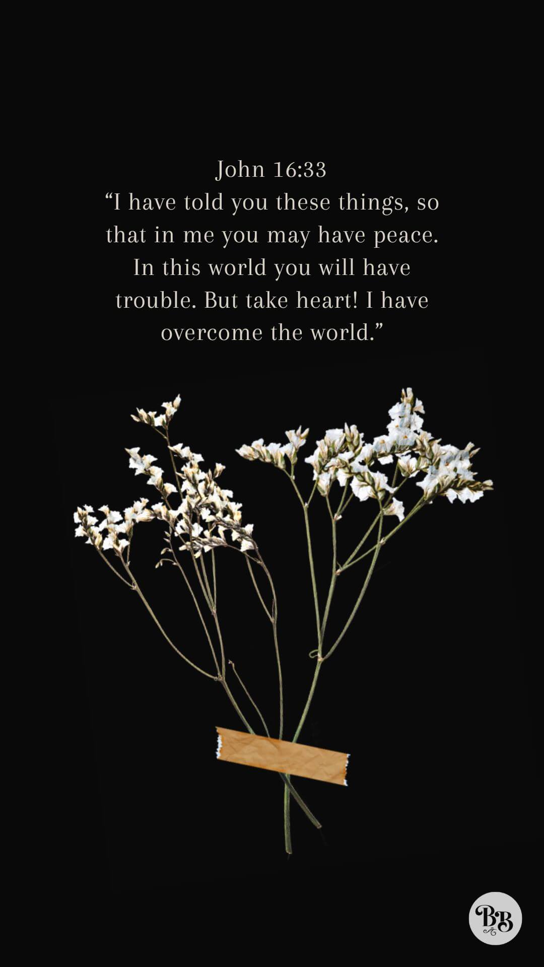 John 16:33: “I have told you these things, so that in me you may have peace. In this world you will have trouble. But take heart! I have overcome the world.”