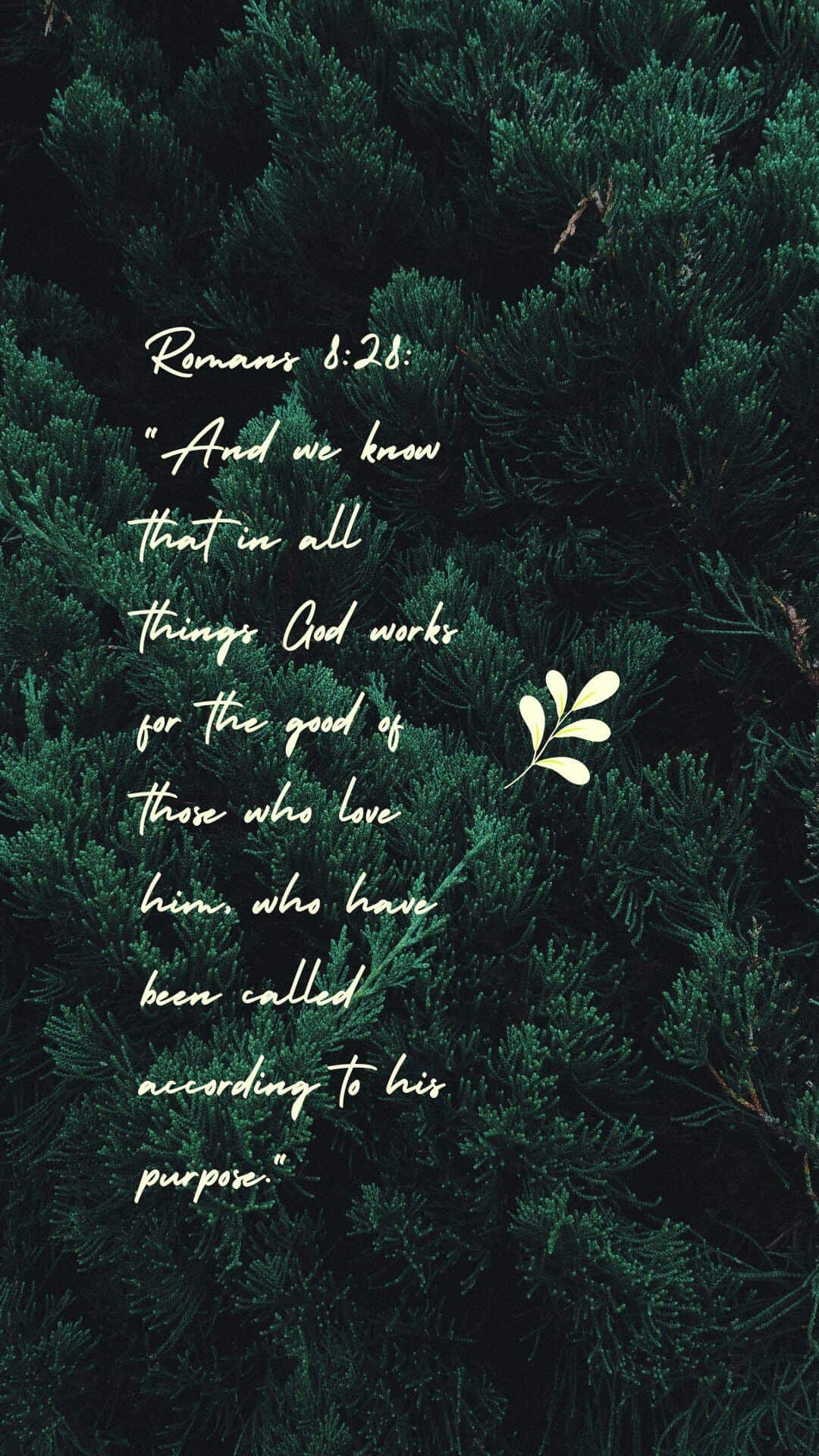 Romans 8:28: "And we know that in all things God works for the good of those who love him, who have been called according to his purpose."
